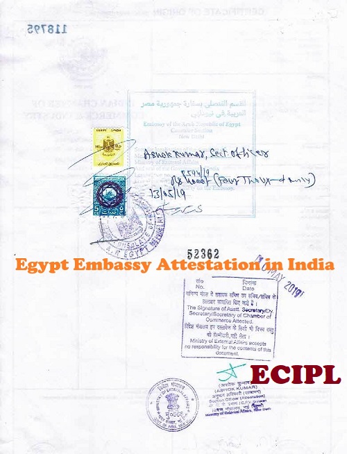 Certificate Attestation from Egypt Embassy India